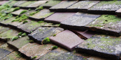 Wellington roof repair costs